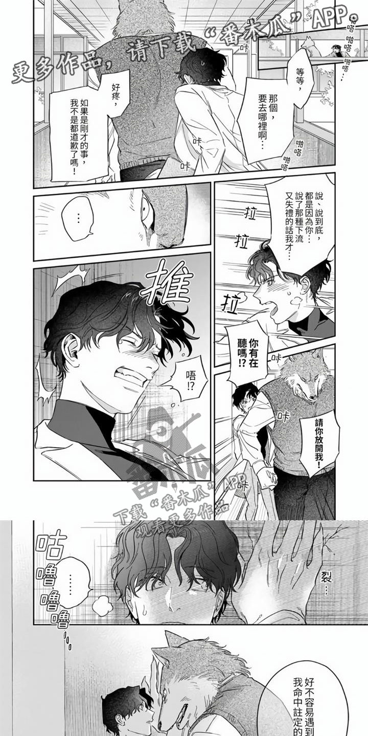 《霸道之爱》漫画最新章节第4章：命中注定免费下拉式在线观看章节第【8】张图片