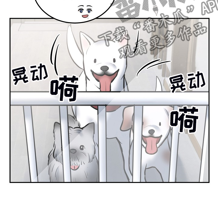 《极度反差》漫画最新章节第43章：给狗狗拍照免费下拉式在线观看章节第【8】张图片