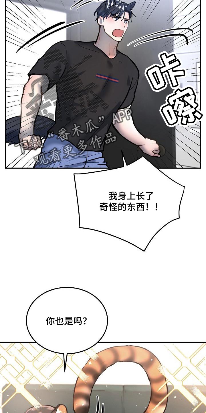 《极度反差》漫画最新章节第80章：【番外】心动的感觉免费下拉式在线观看章节第【11】张图片