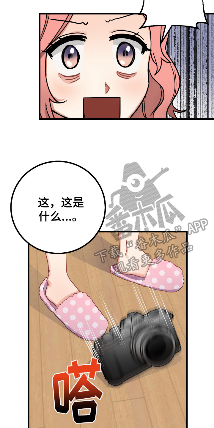 《最高机密》漫画最新章节第25章：制定计划免费下拉式在线观看章节第【20】张图片