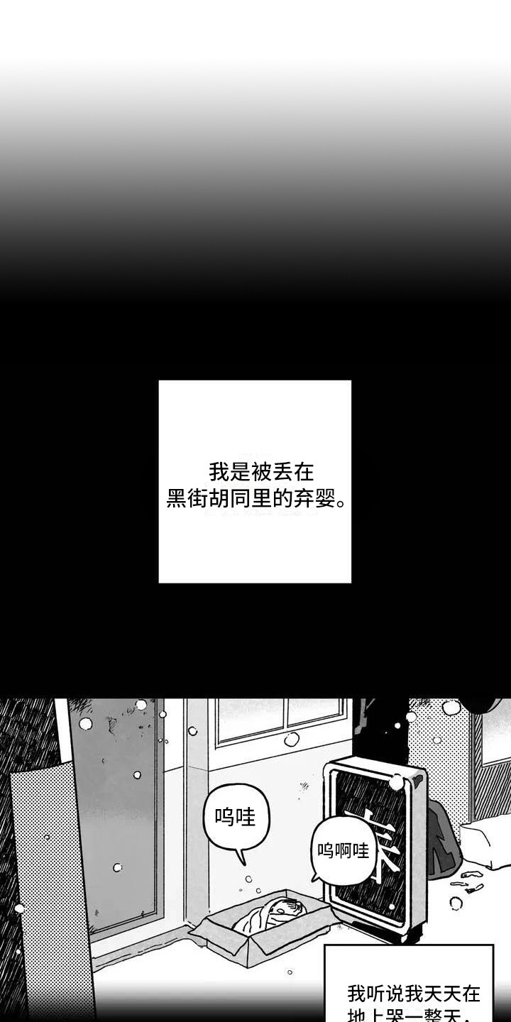 《为你倾心》漫画最新章节第2章：弃婴免费下拉式在线观看章节第【17】张图片