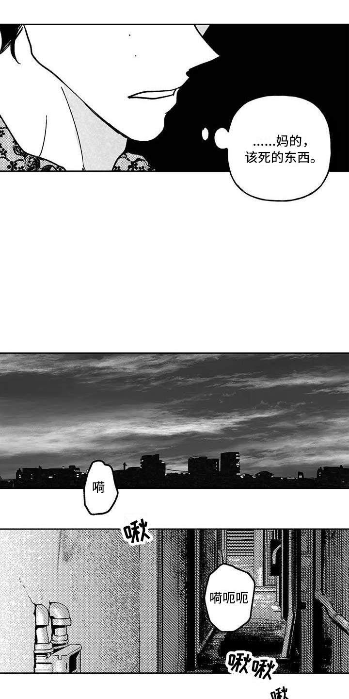 《为你倾心》漫画最新章节第28章：前途渺茫免费下拉式在线观看章节第【11】张图片