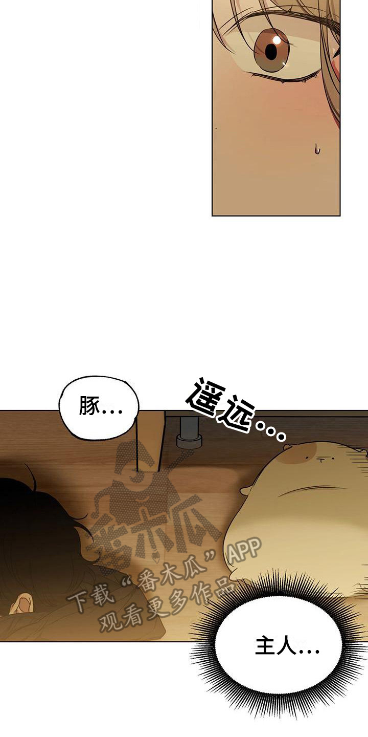 《冷若冰霜》漫画最新章节第7章：摔倒免费下拉式在线观看章节第【6】张图片