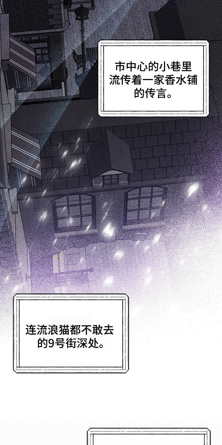 《暗香集》漫画最新章节第1章：精华：神秘香水铺免费下拉式在线观看章节第【5】张图片