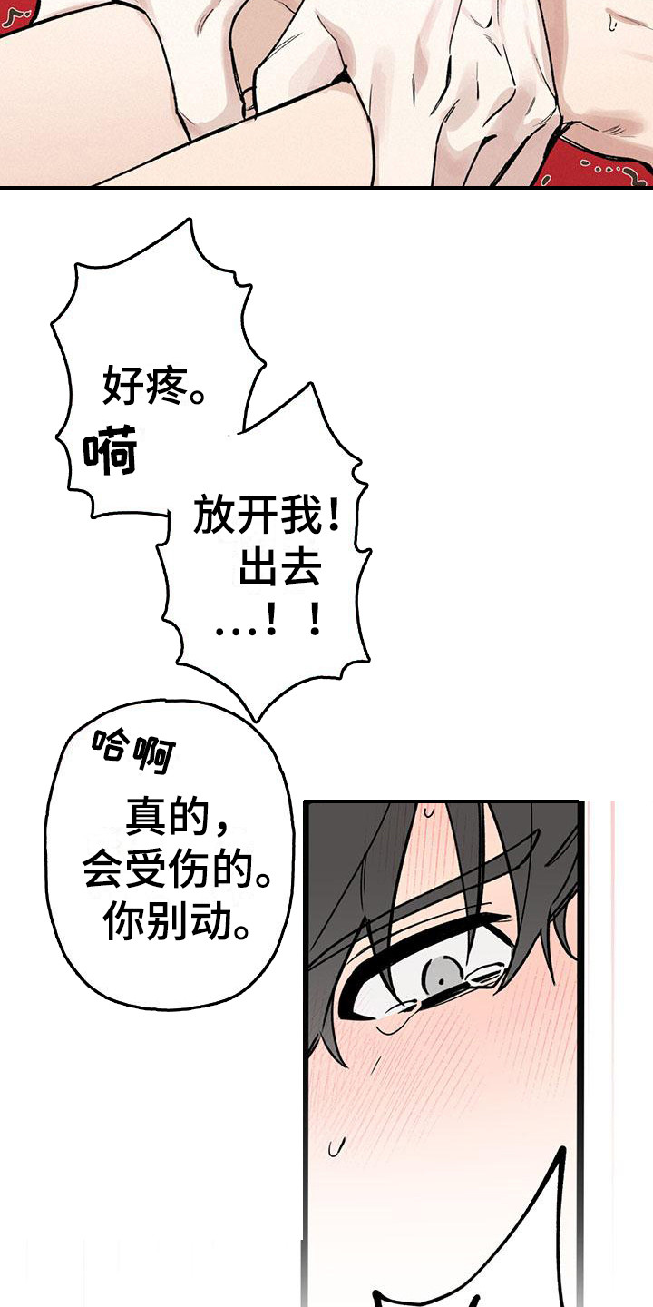 《暗香集》漫画最新章节第24章：你想要的没有实现：疼痛免费下拉式在线观看章节第【3】张图片