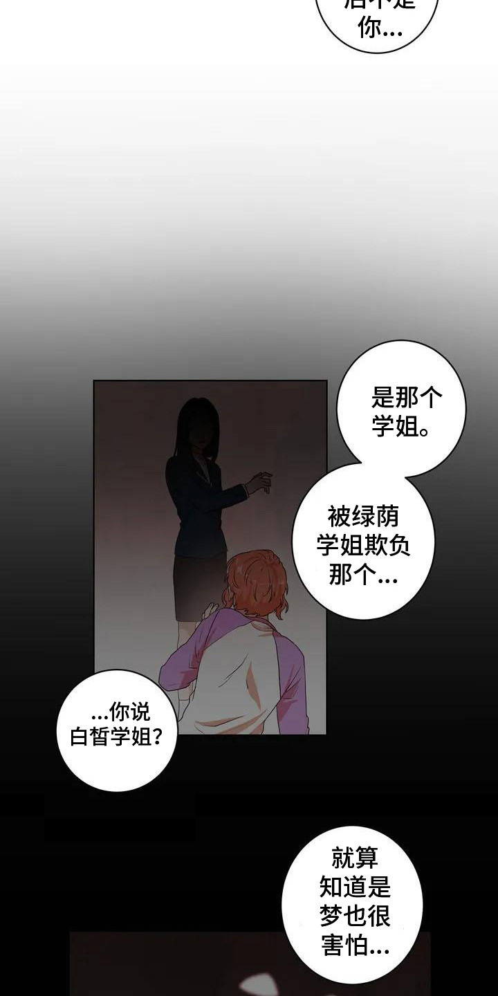 《梦中世界》漫画最新章节第10章：再次遇见免费下拉式在线观看章节第【17】张图片