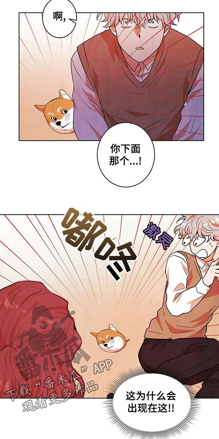 《梦中世界》漫画最新章节第43章：门免费下拉式在线观看章节第【13】张图片