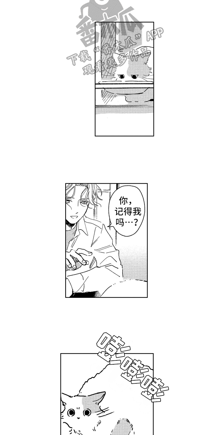 《赤脚天使》漫画最新章节第26章：惊喜免费下拉式在线观看章节第【10】张图片