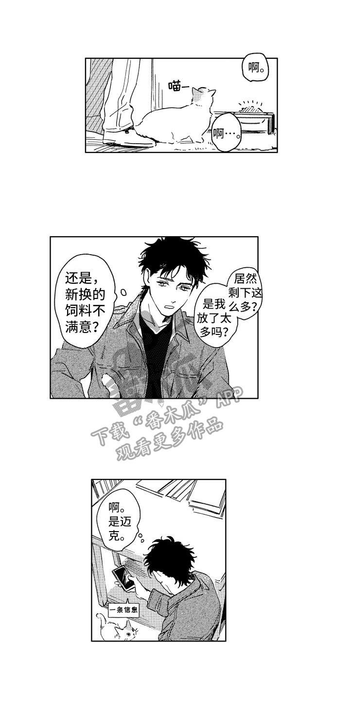 《赤脚天使》漫画最新章节第26章：惊喜免费下拉式在线观看章节第【6】张图片