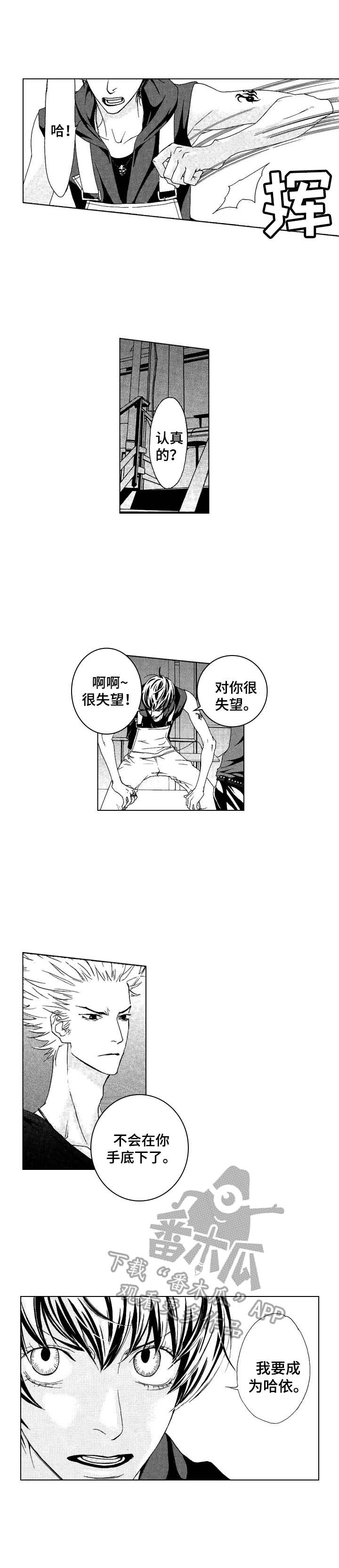 《代号哈依》漫画最新章节第13章：愤怒免费下拉式在线观看章节第【1】张图片