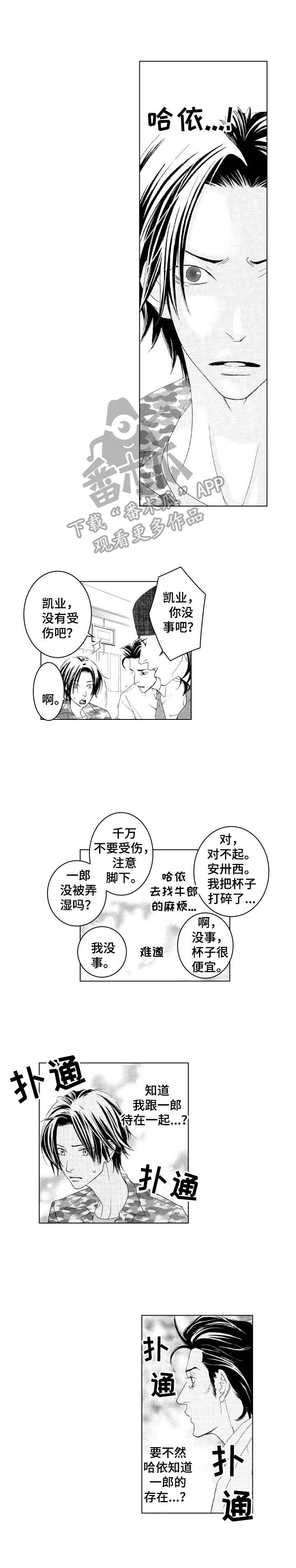 《代号哈依》漫画最新章节第16章：担忧免费下拉式在线观看章节第【8】张图片