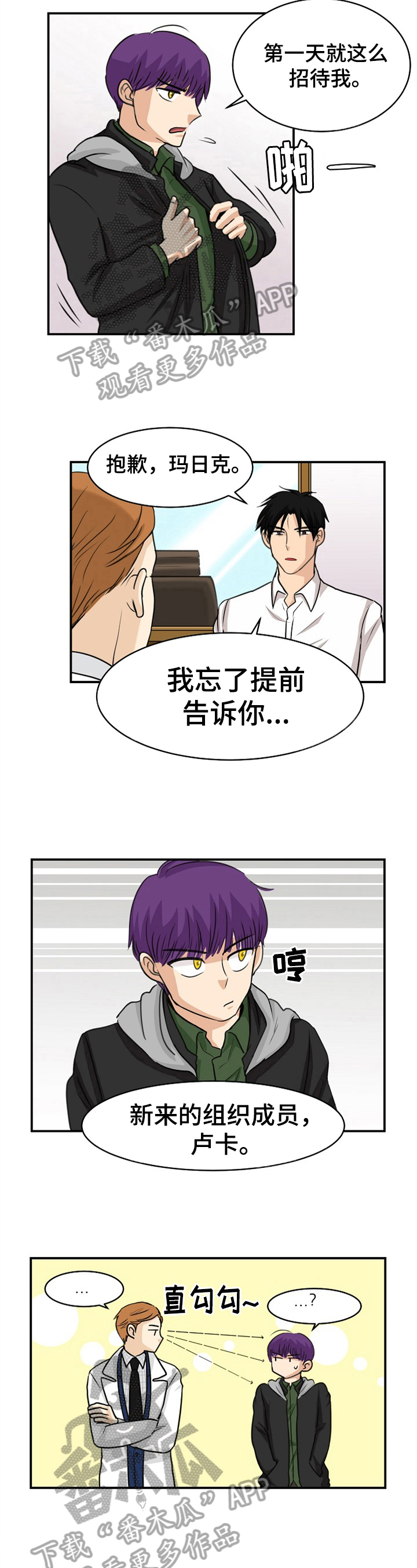 《扭曲的仇恨》漫画最新章节第7章：新人免费下拉式在线观看章节第【7】张图片