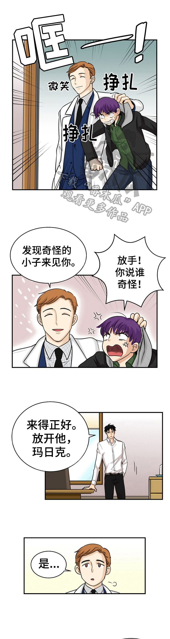 《扭曲的仇恨》漫画最新章节第7章：新人免费下拉式在线观看章节第【8】张图片