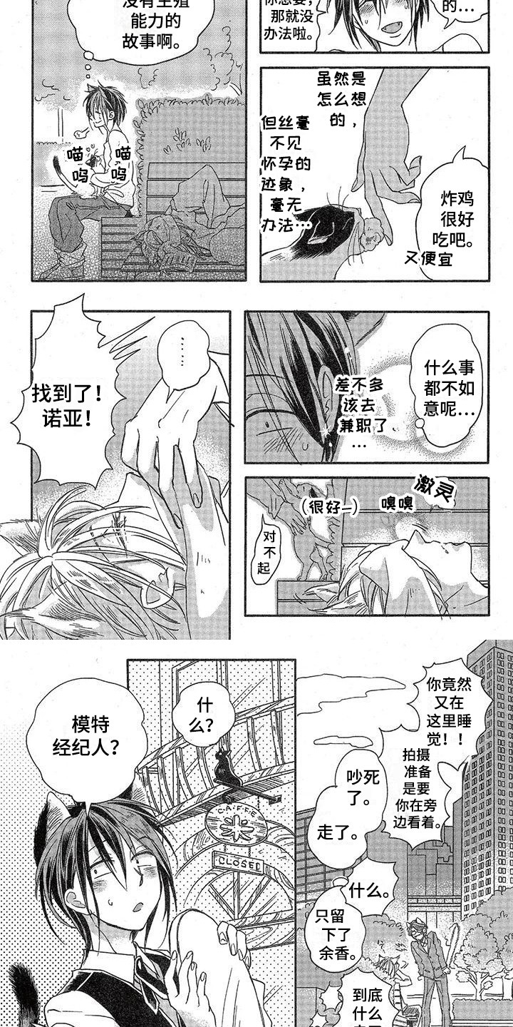 《兽人国度》漫画最新章节第1章：故事一：模特公司免费下拉式在线观看章节第【5】张图片