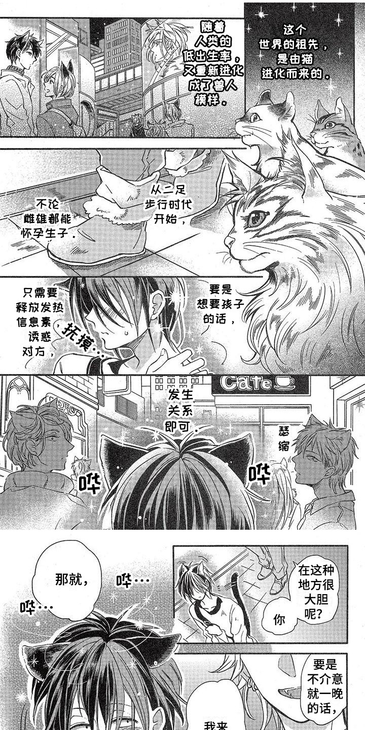 《兽人国度》漫画最新章节第1章：故事一：模特公司免费下拉式在线观看章节第【8】张图片