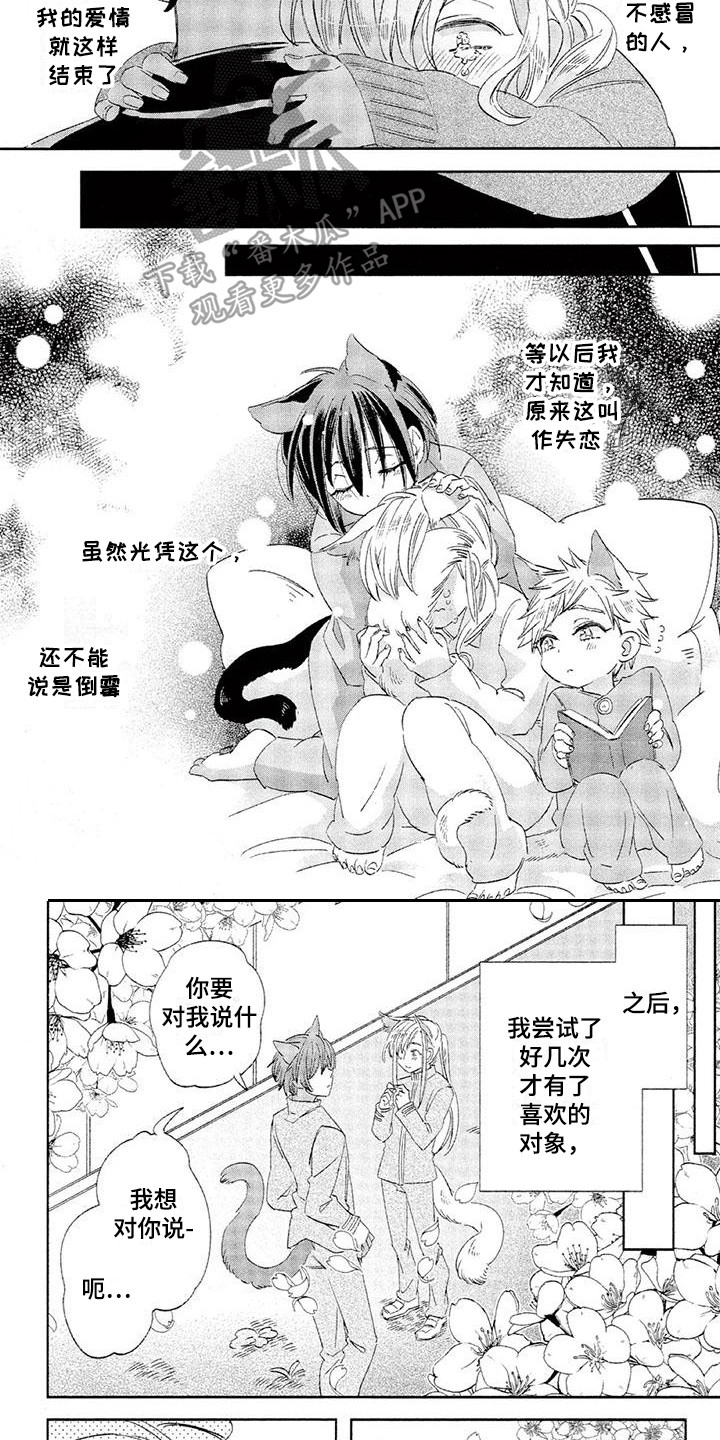 《兽人国度》漫画最新章节第17章：故事六：初恋对象免费下拉式在线观看章节第【5】张图片