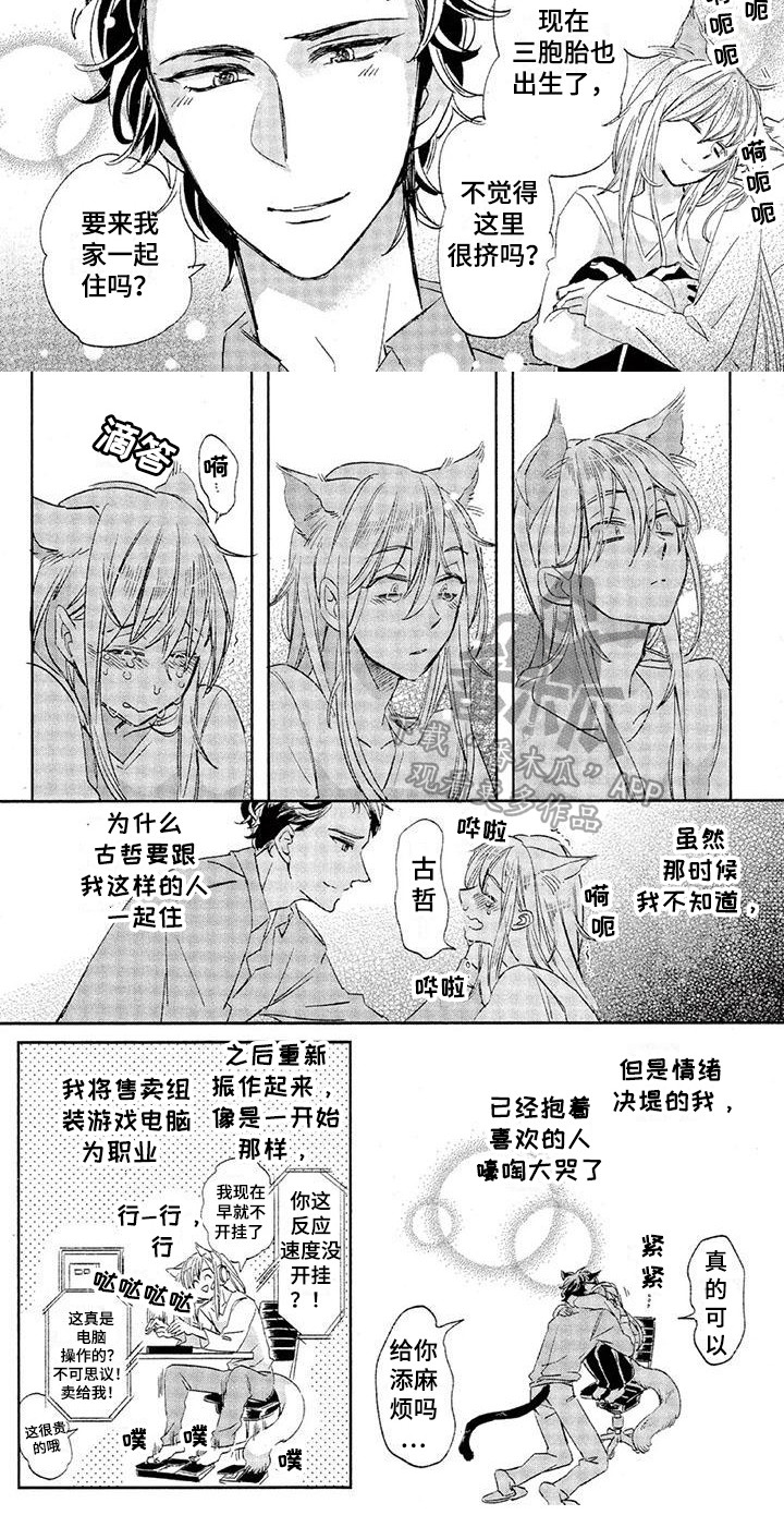 《兽人国度》漫画最新章节第17章：故事六：初恋对象免费下拉式在线观看章节第【1】张图片