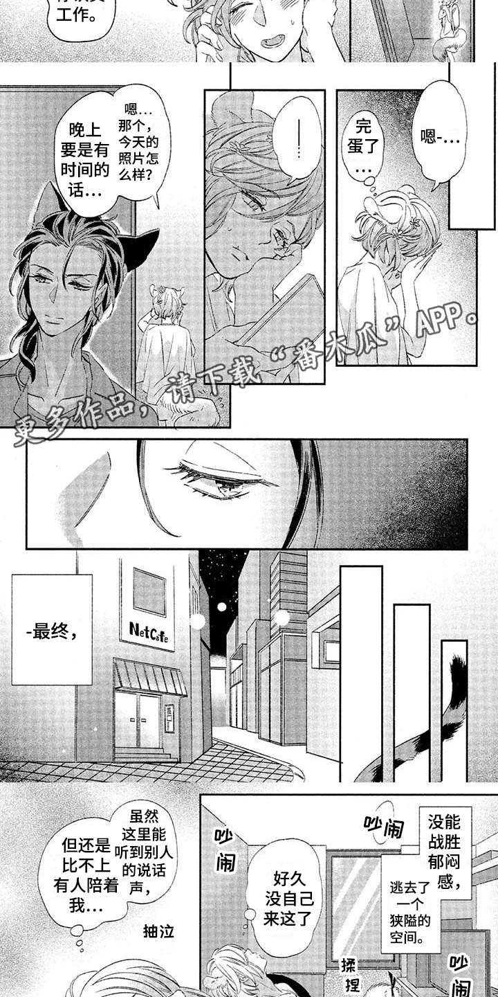 《兽人国度》漫画最新章节第23章：故事七：郁闷免费下拉式在线观看章节第【6】张图片