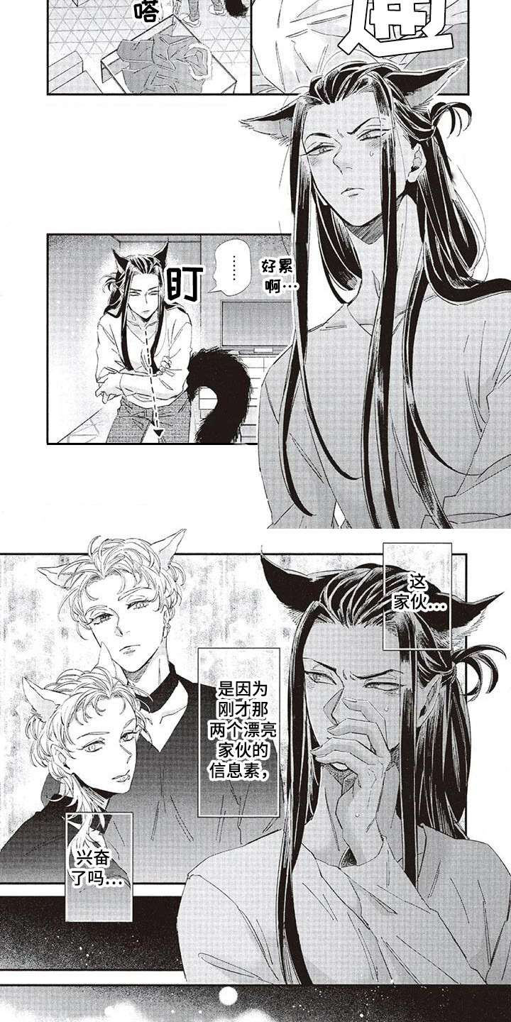 《兽人国度》漫画最新章节第38章：故事九：心中答案免费下拉式在线观看章节第【4】张图片