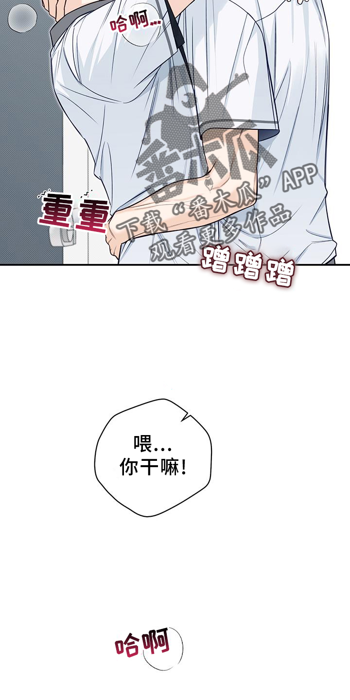 《夏季恋人》漫画最新章节第73章：亲吻免费下拉式在线观看章节第【5】张图片