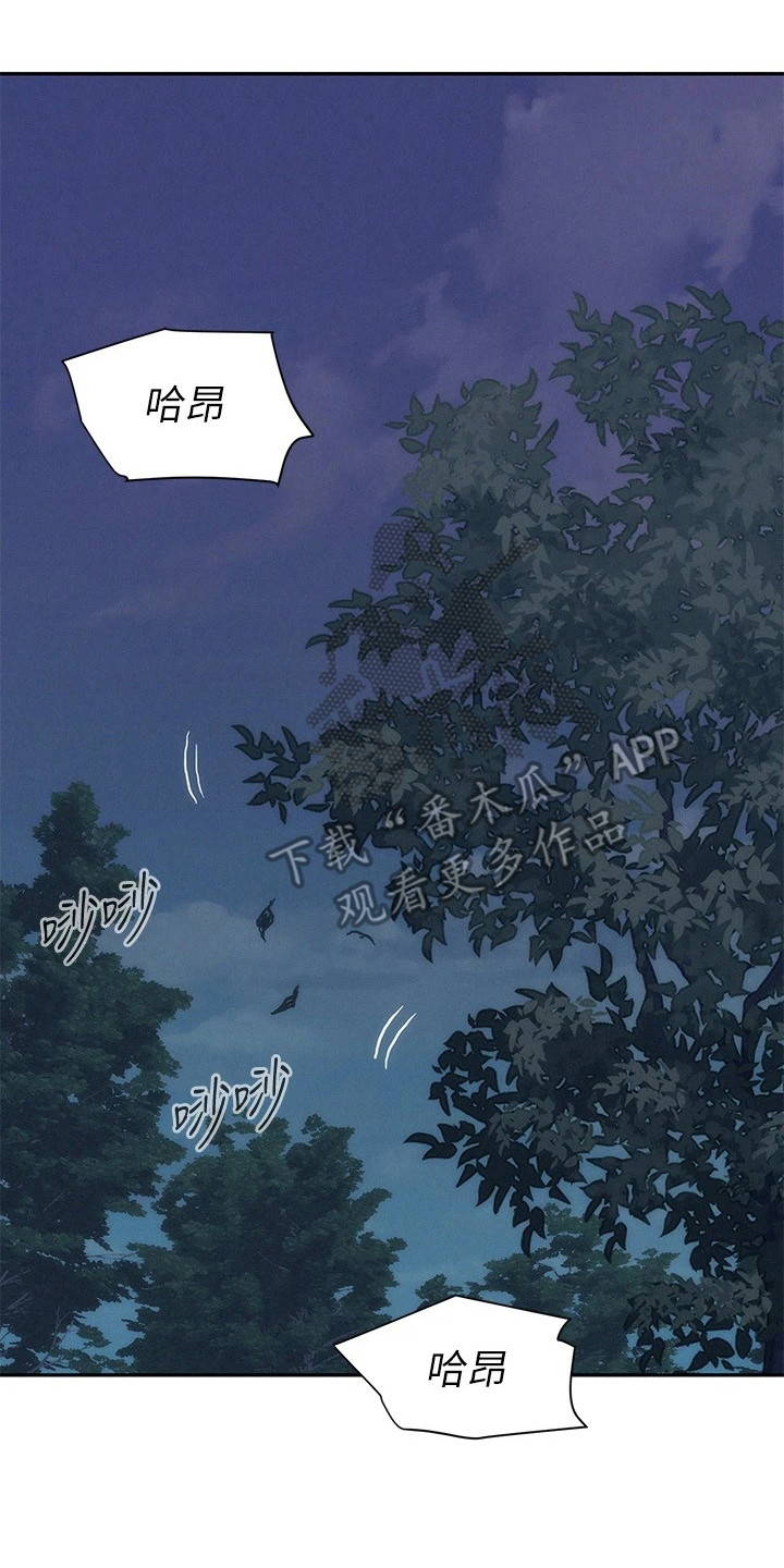 《浪漫野营》漫画最新章节第7章：豁出去了免费下拉式在线观看章节第【5】张图片