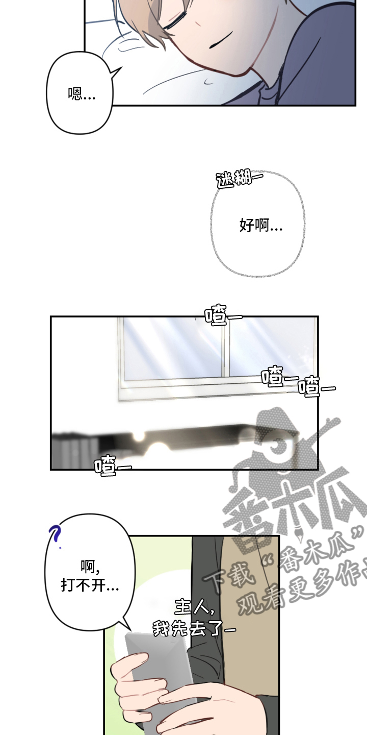 《恋爱攻势》漫画最新章节第57章：手机免费下拉式在线观看章节第【10】张图片