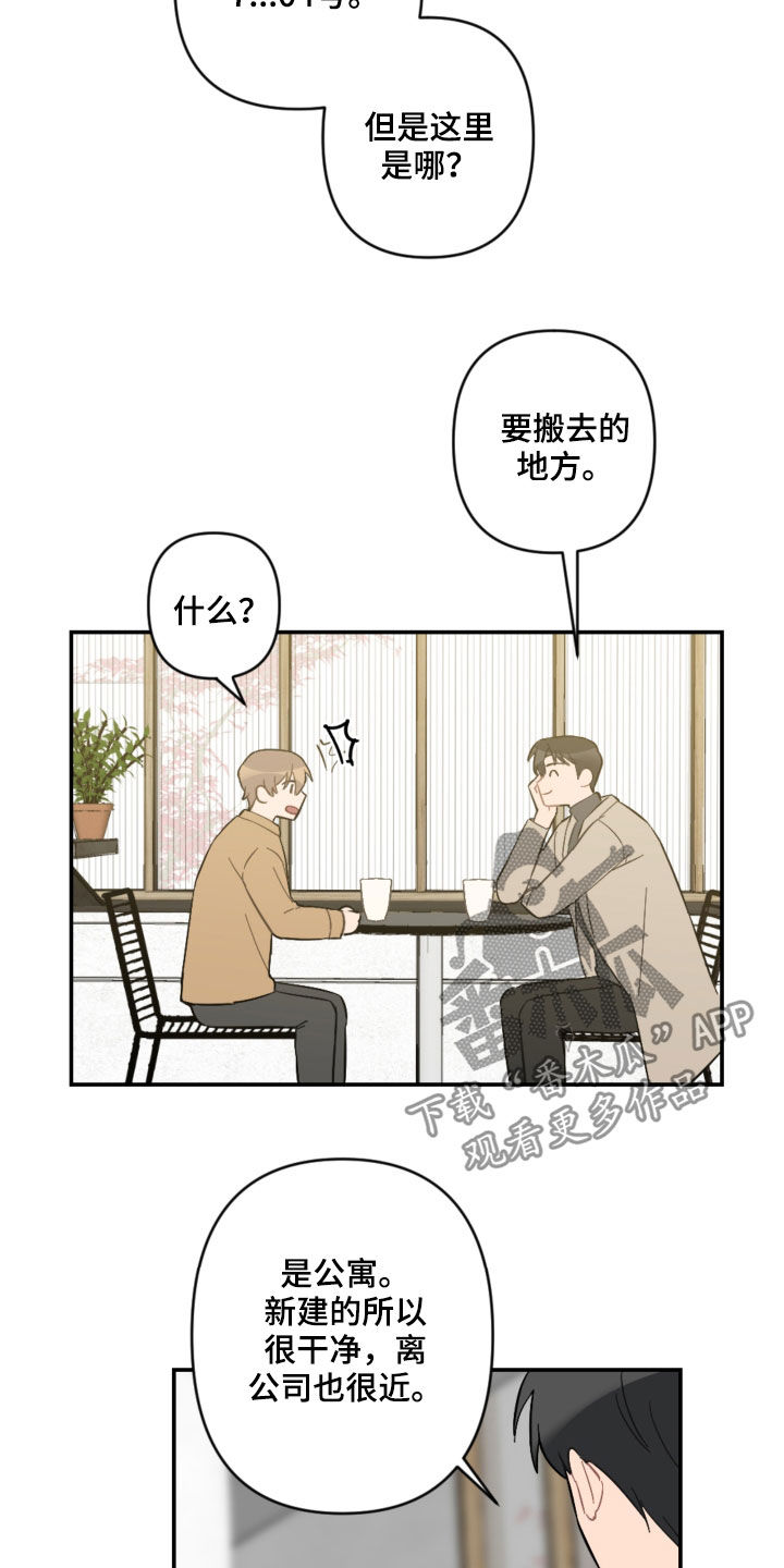 《恋爱攻势》漫画最新章节第63章：未来计划免费下拉式在线观看章节第【12】张图片