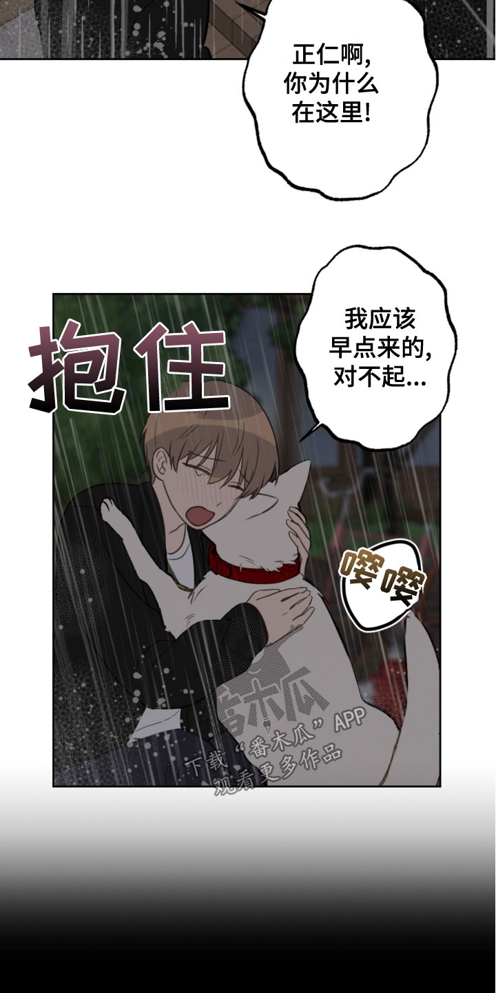 《恋爱攻势》漫画最新章节第118章：开车免费下拉式在线观看章节第【6】张图片