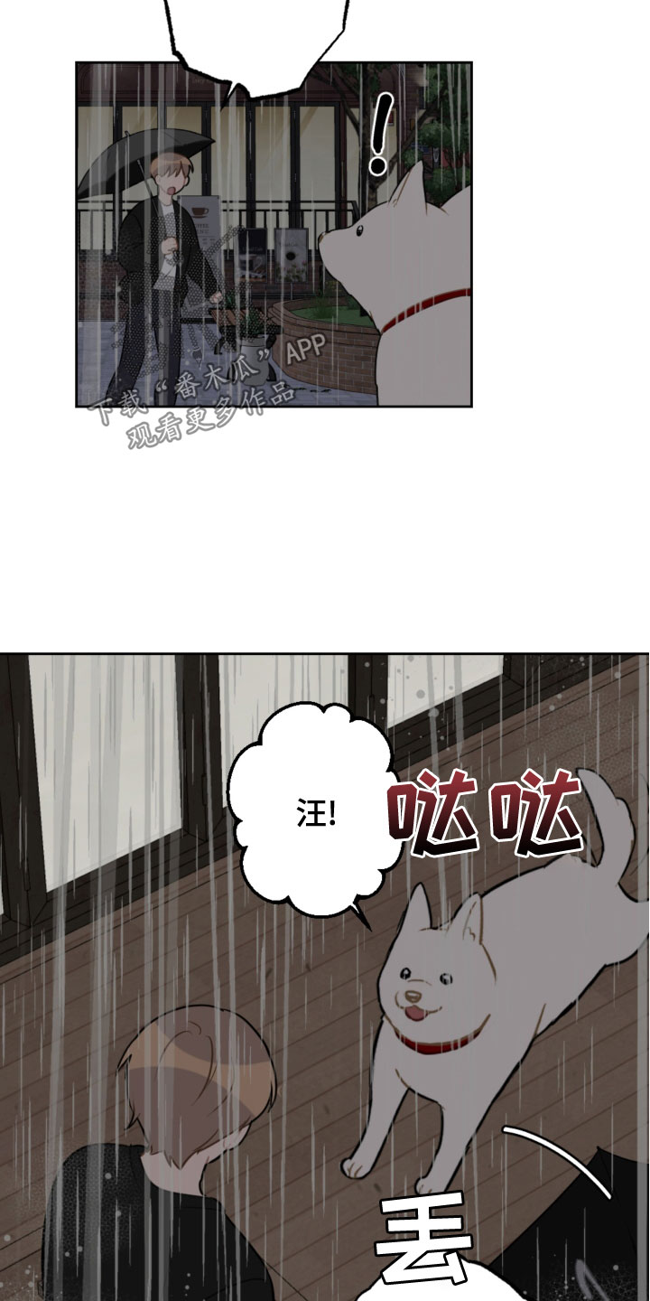 《恋爱攻势》漫画最新章节第118章：开车免费下拉式在线观看章节第【7】张图片