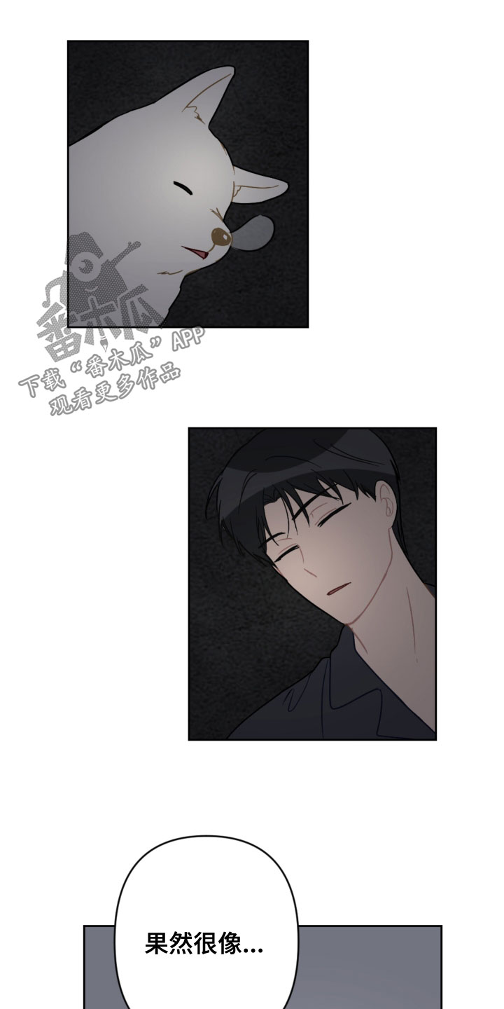 《恋爱攻势》漫画最新章节第119章：同眠免费下拉式在线观看章节第【5】张图片