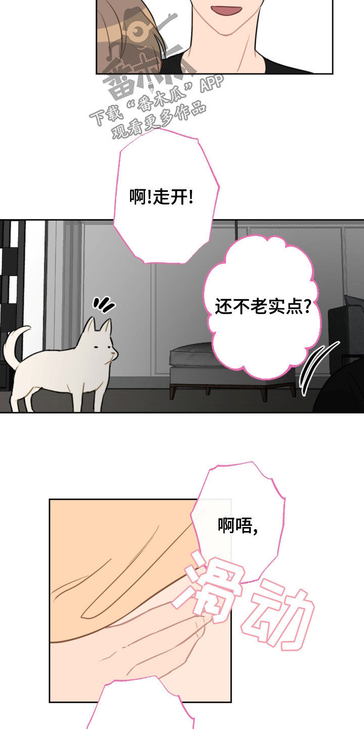 《恋爱攻势》漫画最新章节第120章：护主免费下拉式在线观看章节第【4】张图片