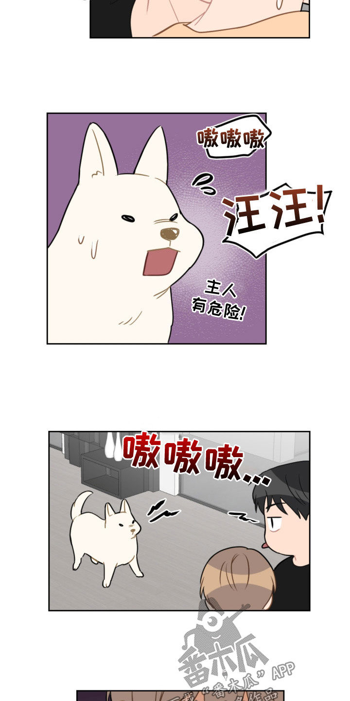 《恋爱攻势》漫画最新章节第121章：答应两件事免费下拉式在线观看章节第【20】张图片