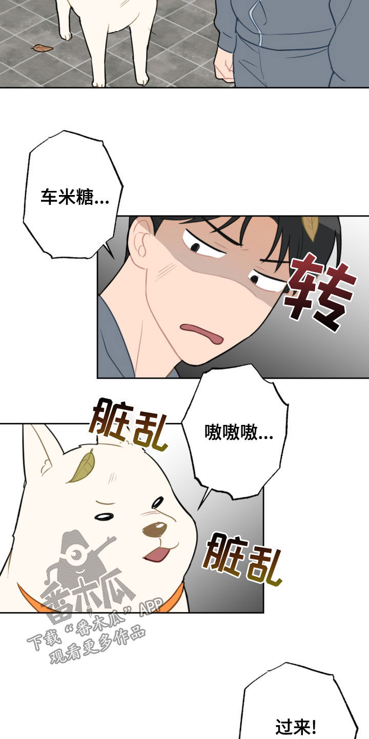 《恋爱攻势》漫画最新章节第123章：过生日免费下拉式在线观看章节第【4】张图片