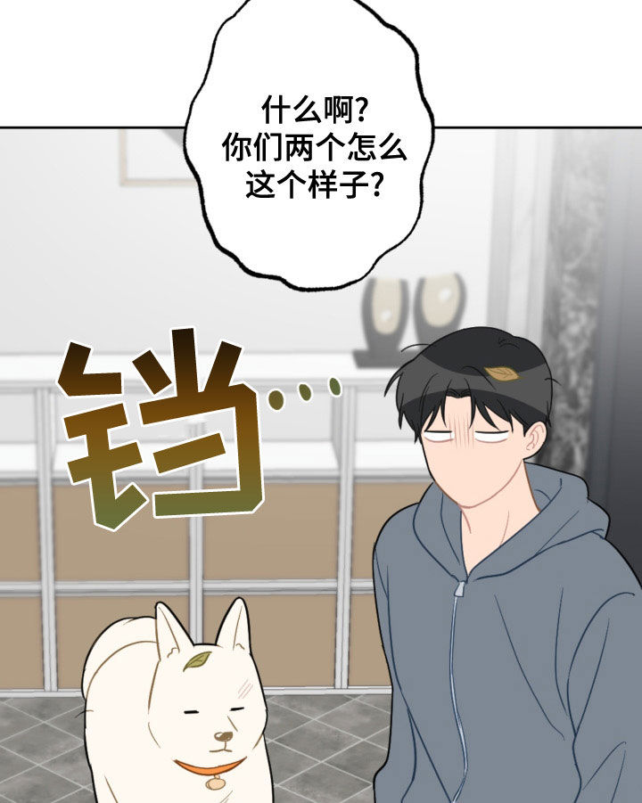 《恋爱攻势》漫画最新章节第123章：过生日免费下拉式在线观看章节第【5】张图片