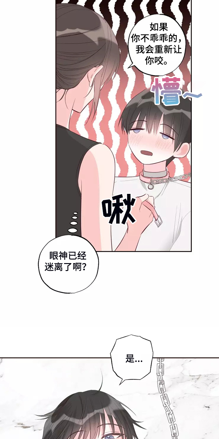 《奇妙的偶遇》漫画最新章节第72章：忘了的人免费下拉式在线观看章节第【23】张图片