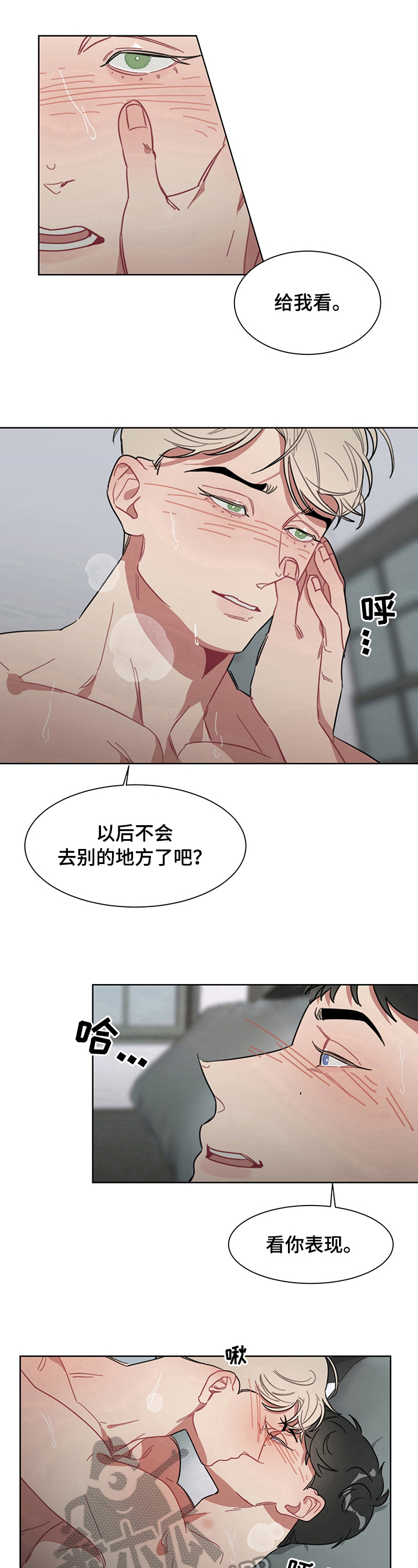 《冷与甜》漫画最新章节第11章：原谅免费下拉式在线观看章节第【2】张图片