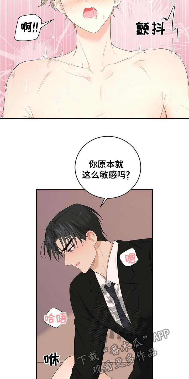 《糖不腻》漫画最新章节第36章：不可以继续免费下拉式在线观看章节第【19】张图片