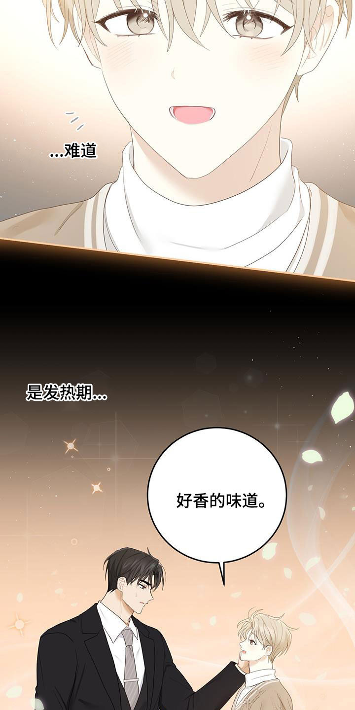 《糖不腻》漫画最新章节第46章：信息素的味道免费下拉式在线观看章节第【10】张图片