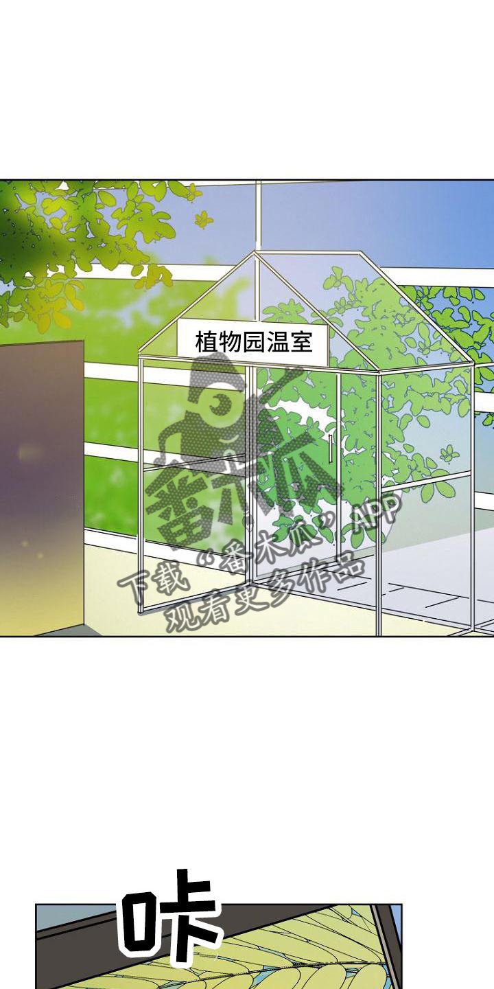 《脑海中的浪漫》漫画最新章节第36章：开心免费下拉式在线观看章节第【5】张图片