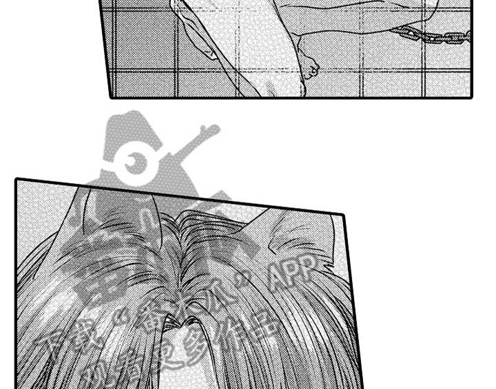 《顽皮的小狗》漫画最新章节第5章：收留免费下拉式在线观看章节第【28】张图片