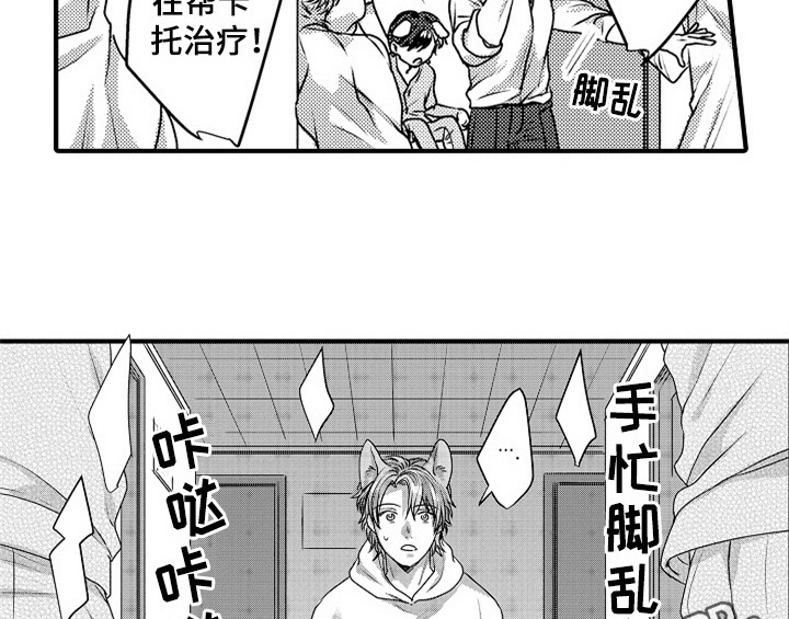 《顽皮的小狗》漫画最新章节第5章：收留免费下拉式在线观看章节第【2】张图片