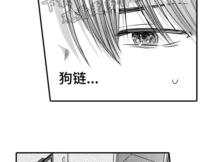 《顽皮的小狗》漫画最新章节第5章：收留免费下拉式在线观看章节第【32】张图片