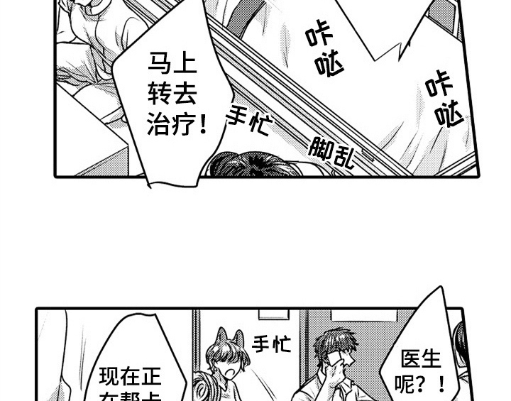 《顽皮的小狗》漫画最新章节第5章：收留免费下拉式在线观看章节第【3】张图片