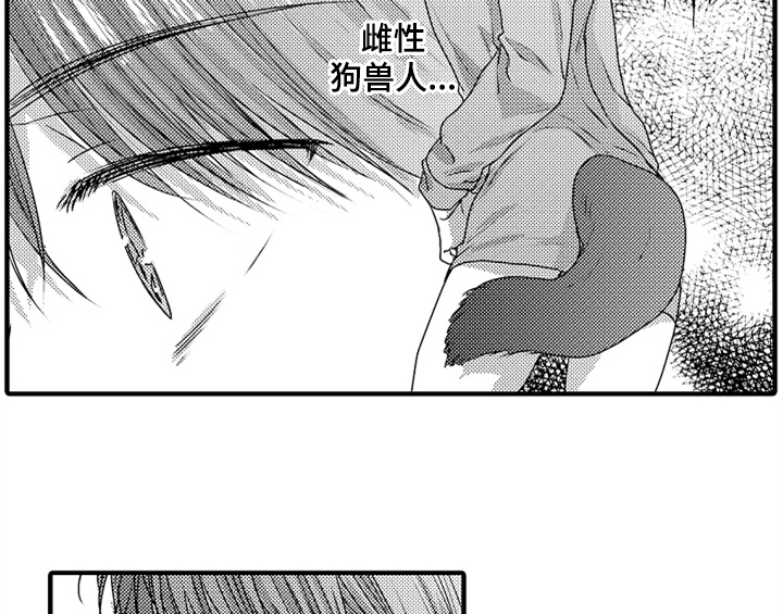 《顽皮的小狗》漫画最新章节第7章：气味免费下拉式在线观看章节第【40】张图片