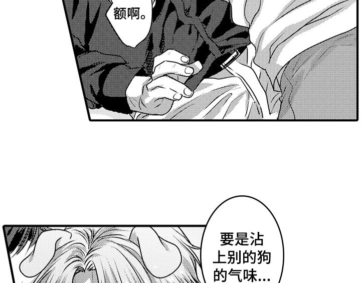 《顽皮的小狗》漫画最新章节第7章：气味免费下拉式在线观看章节第【35】张图片