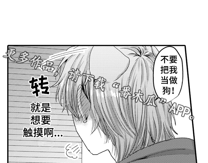 《顽皮的小狗》漫画最新章节第8章：睡眠免费下拉式在线观看章节第【40】张图片