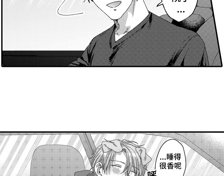 《顽皮的小狗》漫画最新章节第12章：再遇免费下拉式在线观看章节第【29】张图片