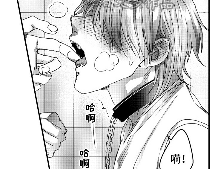 《顽皮的小狗》漫画最新章节第13章：试药免费下拉式在线观看章节第【5】张图片