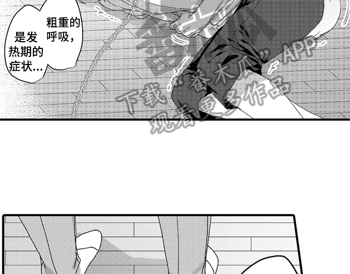 《顽皮的小狗》漫画最新章节第14章：决定免费下拉式在线观看章节第【33】张图片