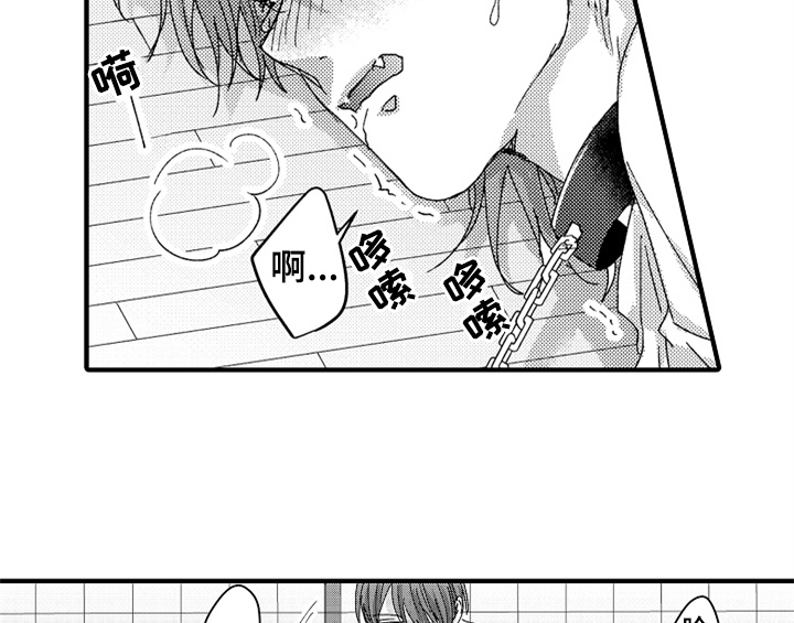 《顽皮的小狗》漫画最新章节第14章：决定免费下拉式在线观看章节第【35】张图片